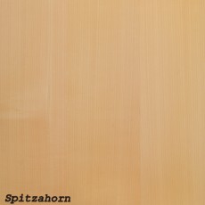 Spitzahorn (lackiert)