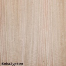 Eukalyptus (Roh)