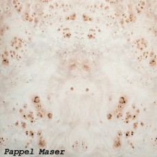 Pappel Maser (Roh)