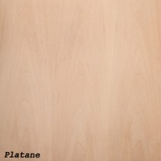 Platane (Roh)