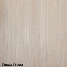 Sassafrass (Roh)