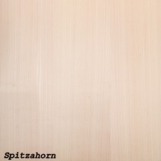 Spitzahorn (Roh)