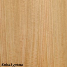 Eukalyptus (lackiert)