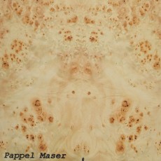 Pappel Maser (lackiert)