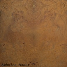 Amboina Maser (Roh)